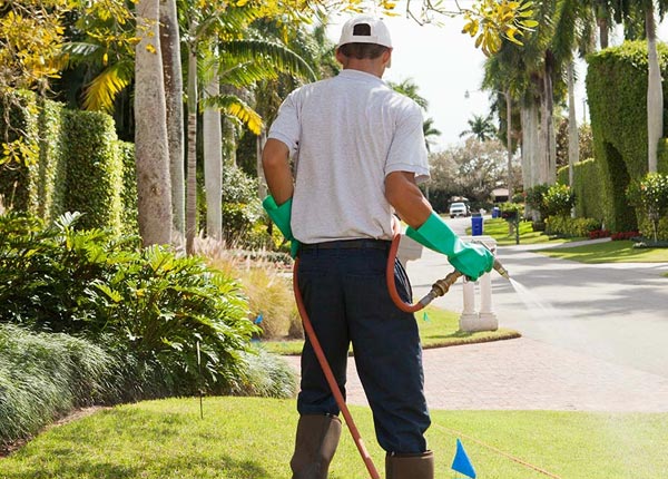 About Lima NY Pest Control